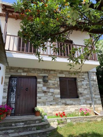 Panagopoulos House Agios Ioannis (Thessaly) Exterior foto